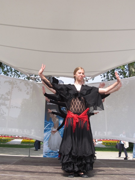 BUGA2011   183.jpg